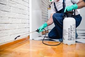 Best Residential Pest Control  in Duluth, GA